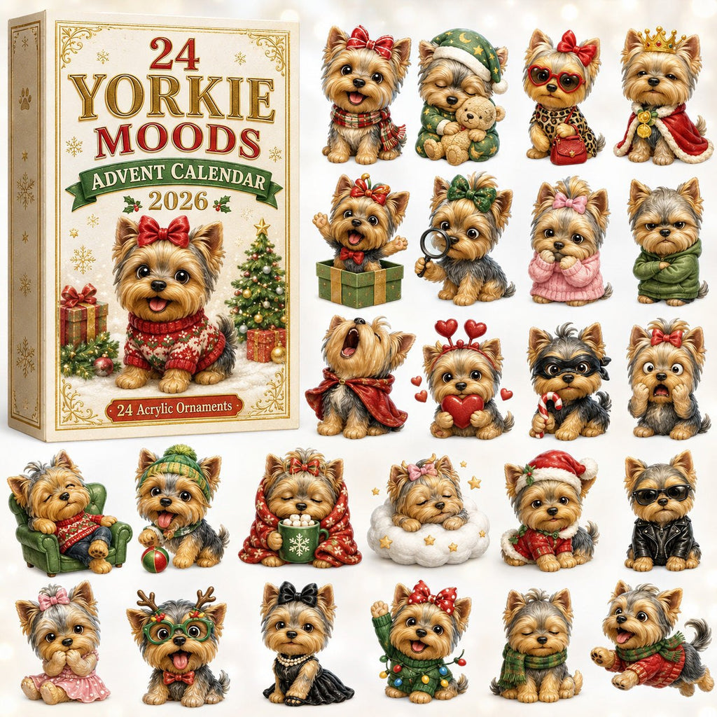 24 Yorkie Moods advent calendar