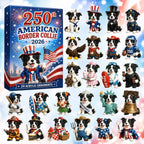 250th American Border Collie advent calendar