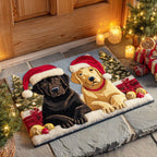 Duo Holiday Labs Doormat - Nature Design | Printed Welcome Doormat