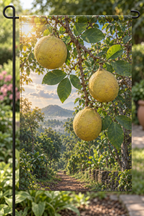 Pale yellow bael fruits and trifoliate leaves before a deep orchard path printed on a complete hemmed flag