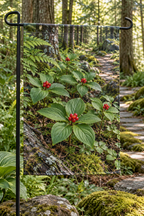 Scarlet bunchberry clusters and strongly veined leaves above mossy forest floor printed on a complete hemmed flag