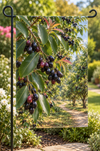 Glossy purple-black jamun berries and green leaves before a deep orchard path printed on a complete hemmed flag