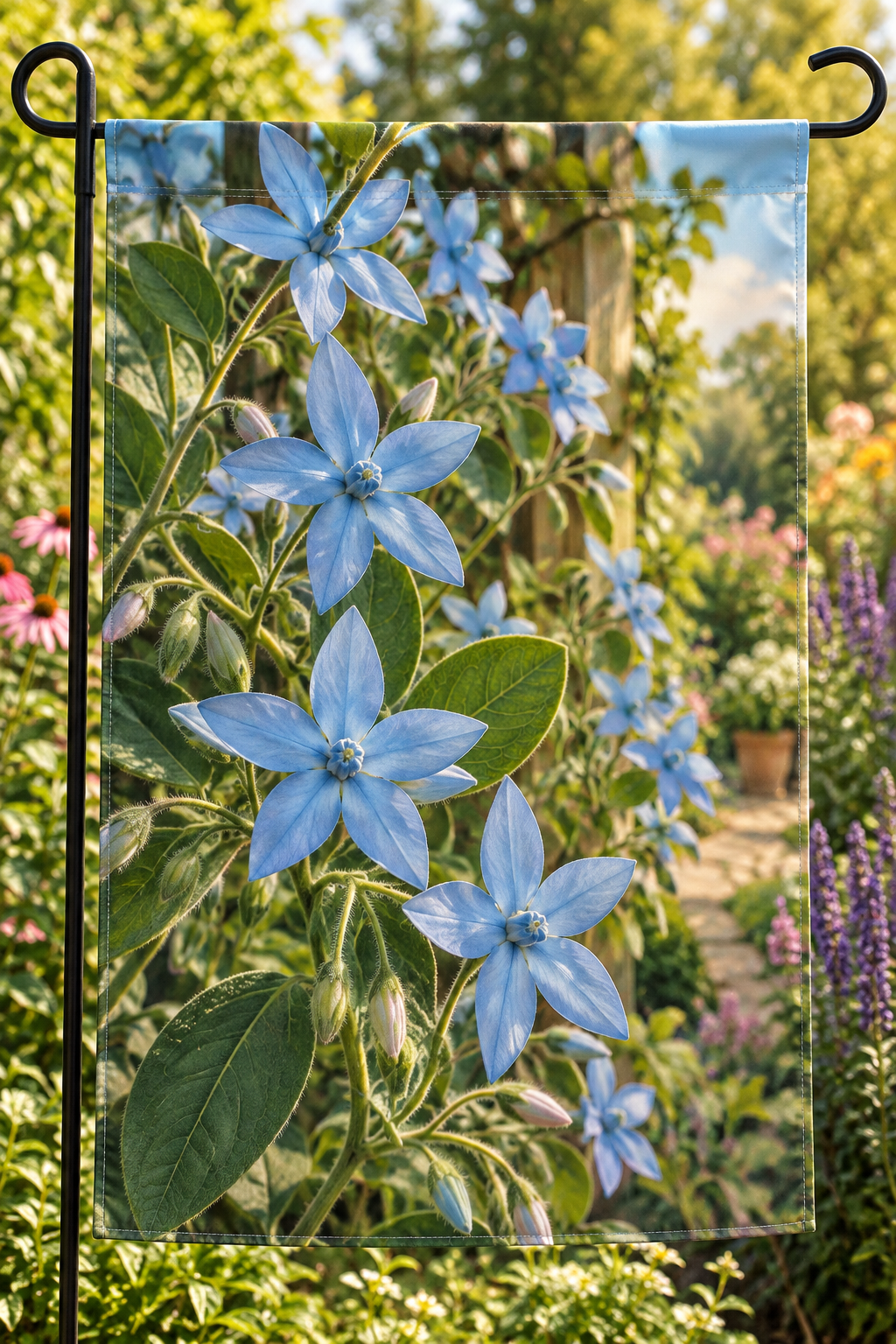 Pale blue tweedia star flowers and downy leaves beside a deep garden path printed on a complete hemmed garden flag