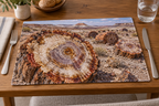 Mineralized fossil log rings and receding desert landscape printed on a flat rectangular placemat