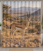 Chinkara before a deep dry woodland valley printed on a complete shower curtain