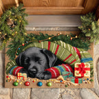 Sleeping Labrador Joy Doormat - Cute Animal Design | Printed Welcome Doormat