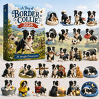 A Day of Border Collie advent calendar
