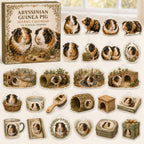 Abyssinian Guinea Pig advent calendar box with 24 themed printed acrylic charms
