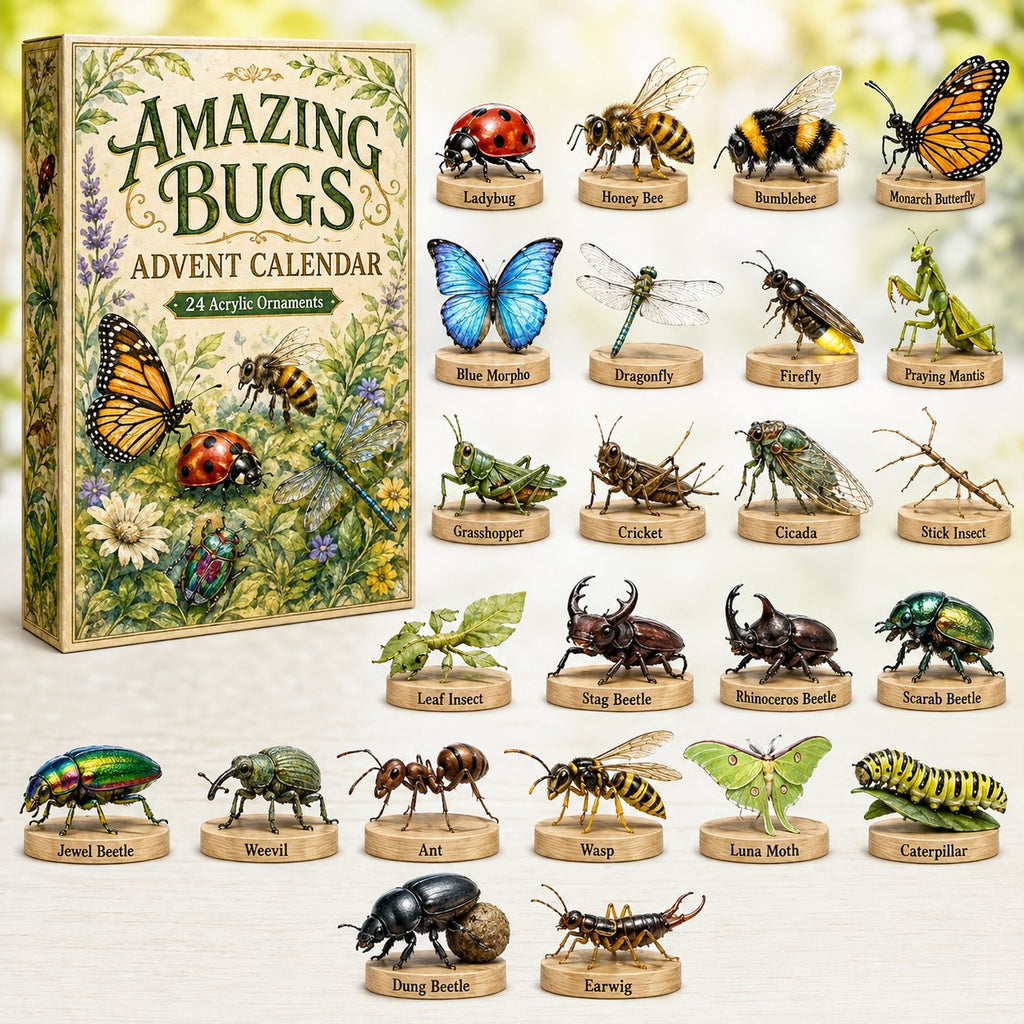 Amazing Bugs advent calendar