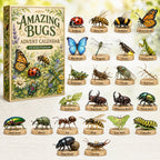 Amazing Bugs advent calendar