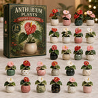 Anthurium Garden advent calendar