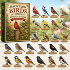 Backyard Birds of America advent calendar