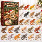 Bearded Dragon Morphs advent calendar