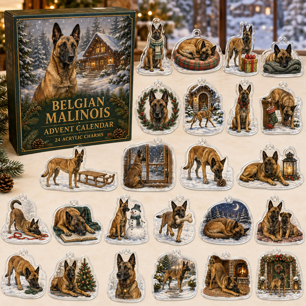 Belgian Malinois advent calendar box and 24 illustrated acrylic charms displayed on an ivory tabletop in a winter setting