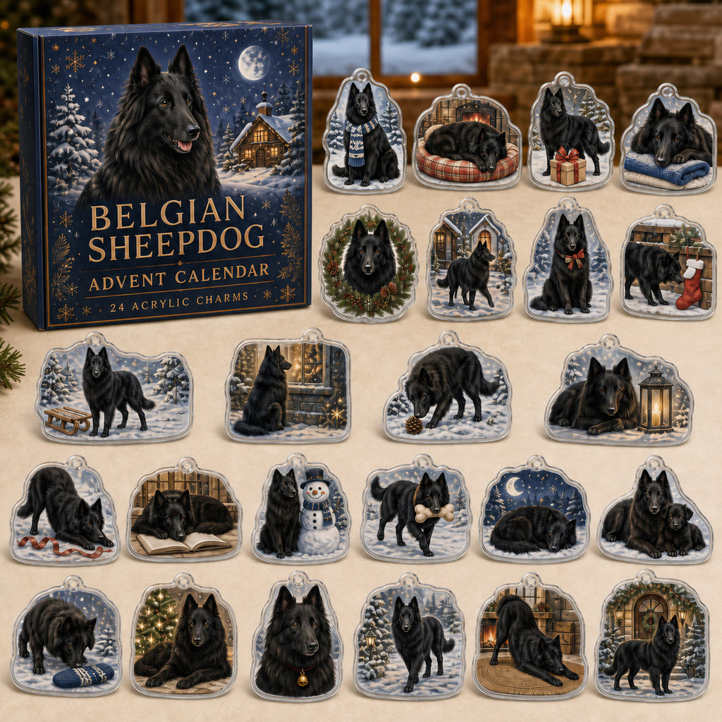 Belgian Sheepdog advent calendar box and 24 illustrated acrylic charms displayed on an ivory tabletop in a winter setting