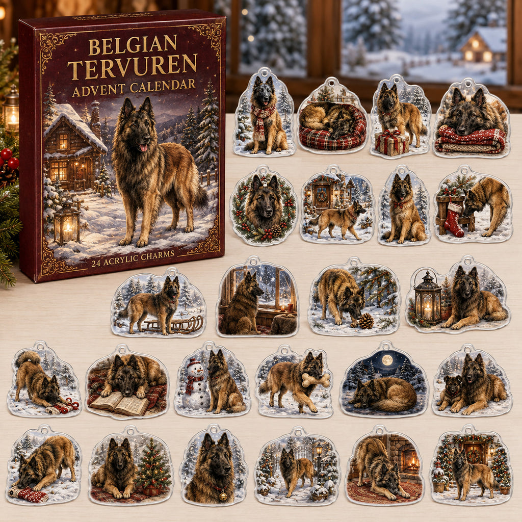 Belgian Tervuren advent calendar box and 24 illustrated acrylic charms displayed on an ivory tabletop in a winter setting