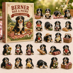 Berner Has A Picnic advent calendar