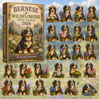 Bernese & Wildflowers advent calendar