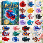Betta Fish Collection advent calendar