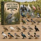 Birds From The Marsh advent calendar