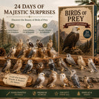 Birds Of Prey advent calendar