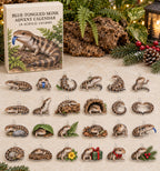 Blue-Tongued Skink advent calendar with 24 custom-shaped flat acrylic charms and printed dimensional artwork