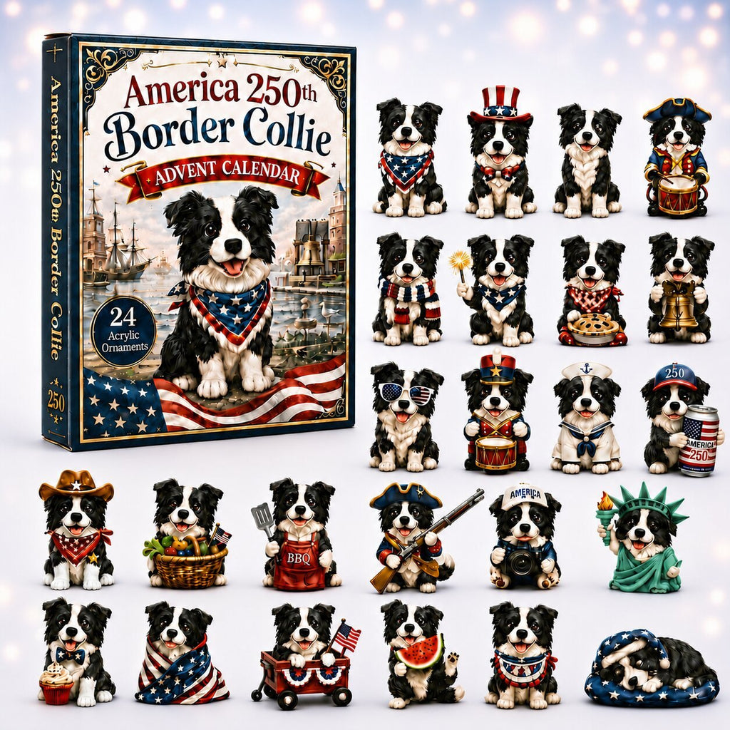 Border Collie advent calendar