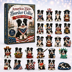 Border Collie advent calendar