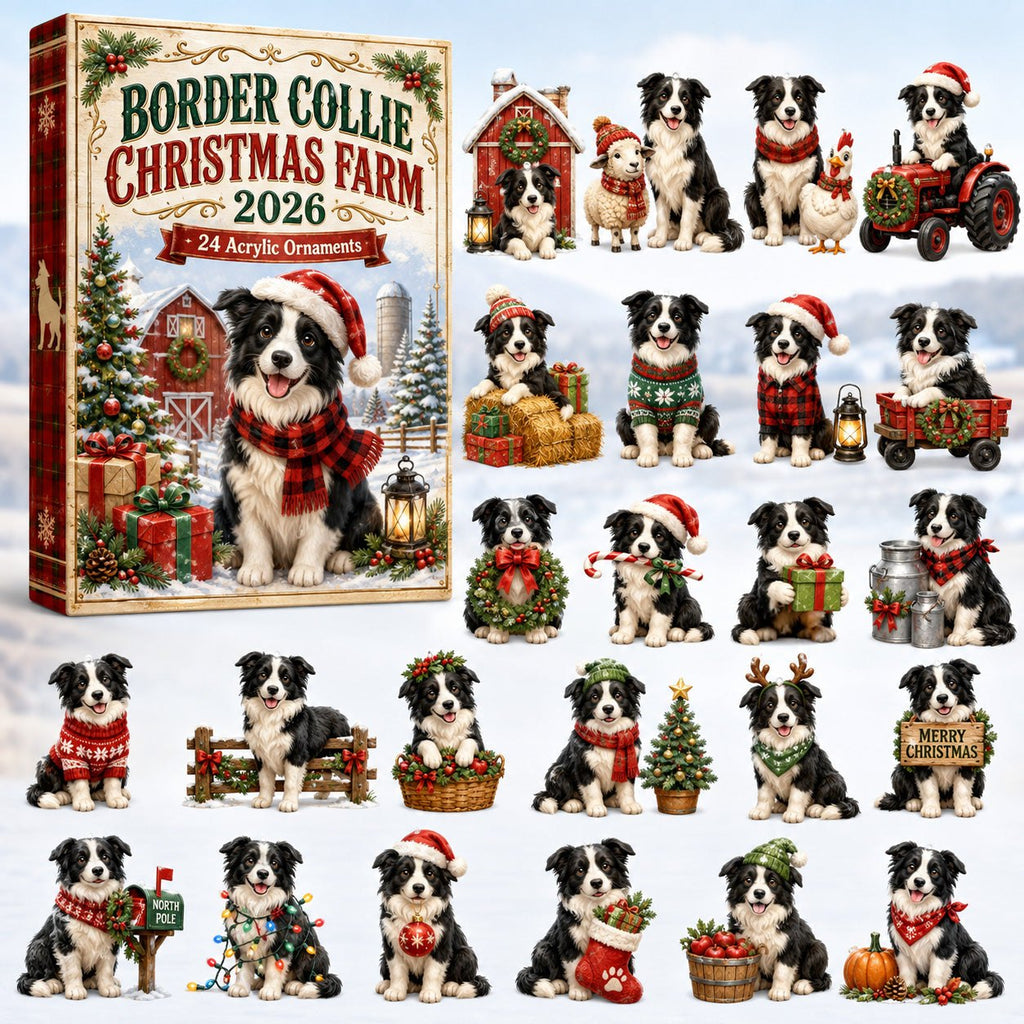 Border Collie Christmas Farm advent calendar