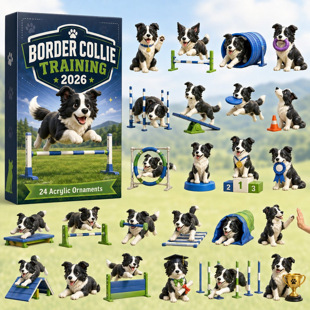 Border Collie Training advent calendar