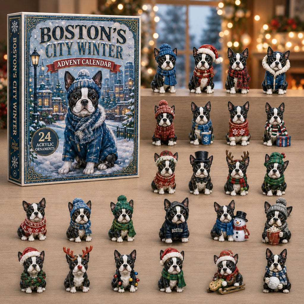 Boston's City Winter advent calendar