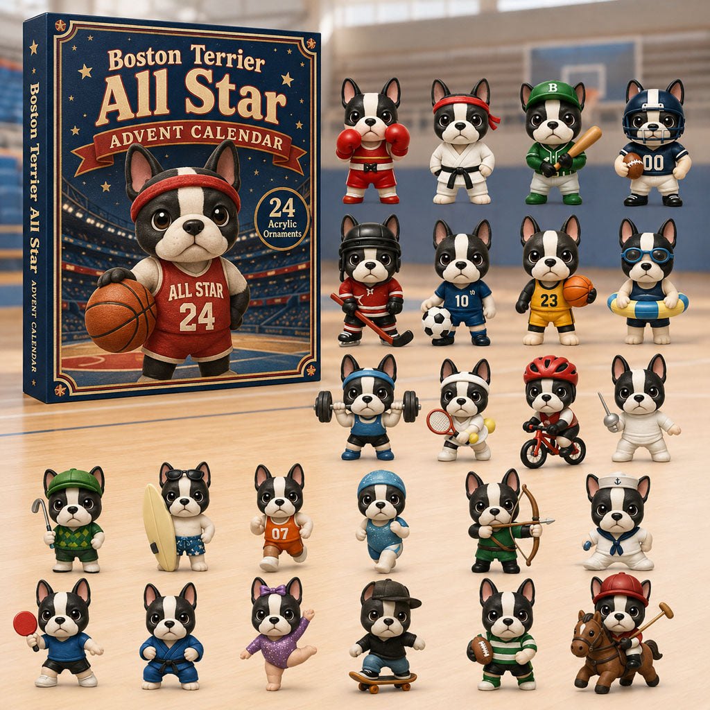 Boston Terrier All-Star advent calendar