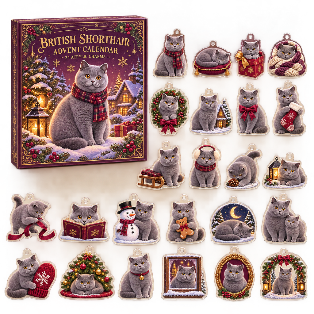 British Shorthair advent calendar box and full set of 24 illustrated acrylic charms on a light tabletop