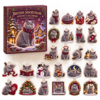 British Shorthair advent calendar box and full set of 24 illustrated acrylic charms on a light tabletop