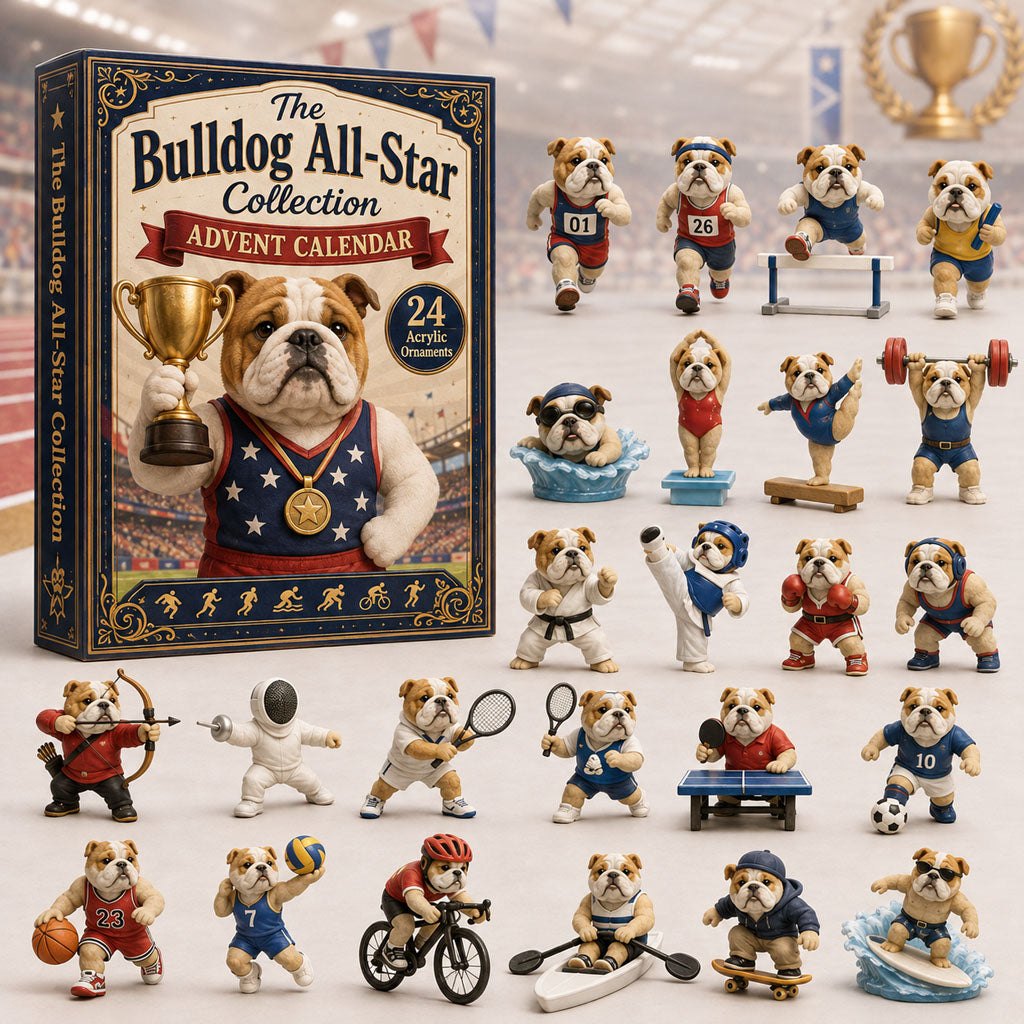 Bulldog All Star advent calendar