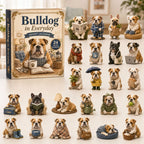 Bulldog In Everyday advent calendar