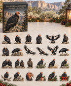 California Condor advent calendar with 24 custom-shaped flat acrylic charms and printed dimensional artwork