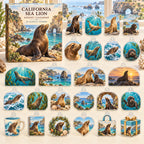 California Sea Lion advent calendar box with 24 themed flat printed acrylic charms