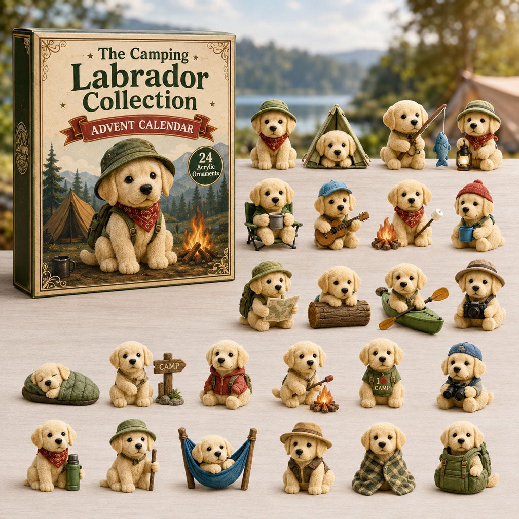 Camping Labrador advent calendar