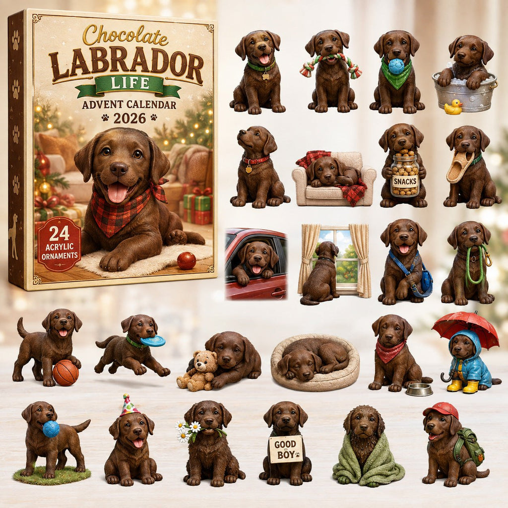 Chocolate Labrador Life advent calendar