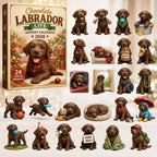 Chocolate Labrador Life advent calendar