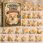 Chonky Corgi advent calendar