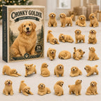 Chonky Goldie advent calendar