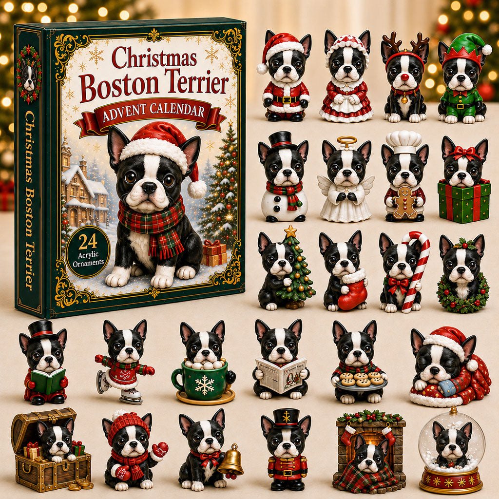 Christmas advent calendar