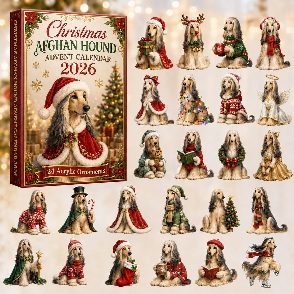 Christmas Afghan Hound advent calendar