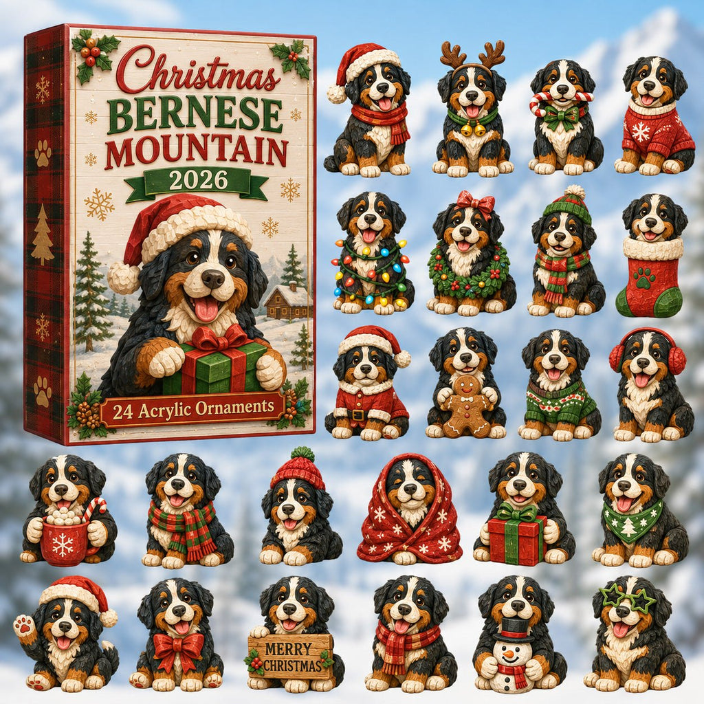 Christmas Bernese Mountain advent calendar