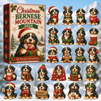 Christmas Bernese Mountain advent calendar