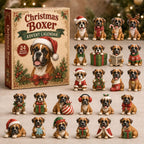 Christmas Boxer advent calendar