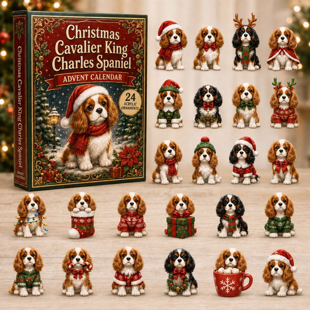 Christmas Cavalier King Charles Spaniel advent calendar