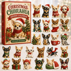 Christmas Chihuahua advent calendar